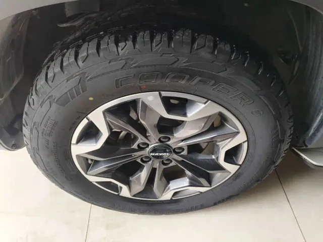Haval Big Dog — Фото автомобиля 22