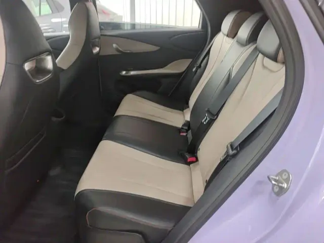 BYD Dolphin — Фото автомобиля 16