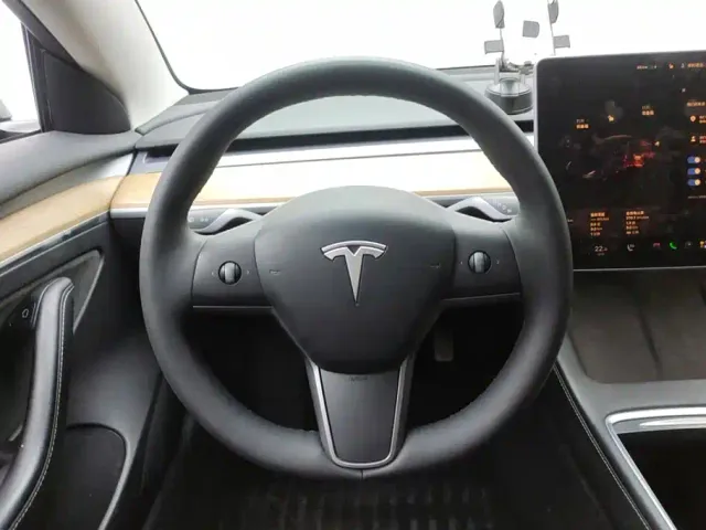 Tesla Model 3 — Фото автомобиля 15