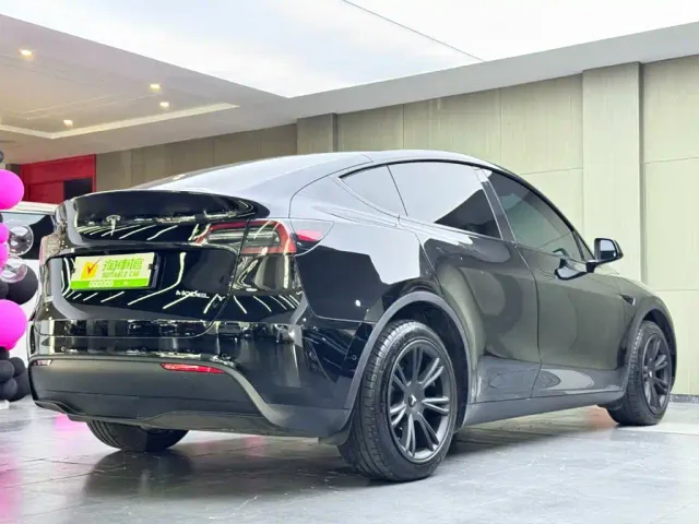 Tesla Model Y — Фото автомобиля 4