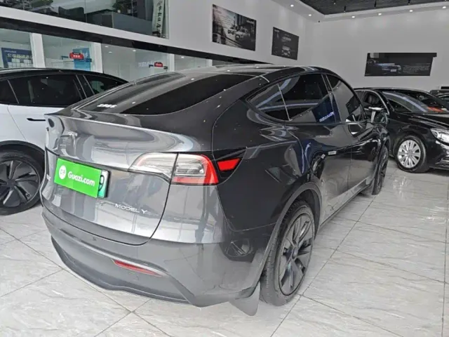 Tesla Model Y — Фото автомобиля 6