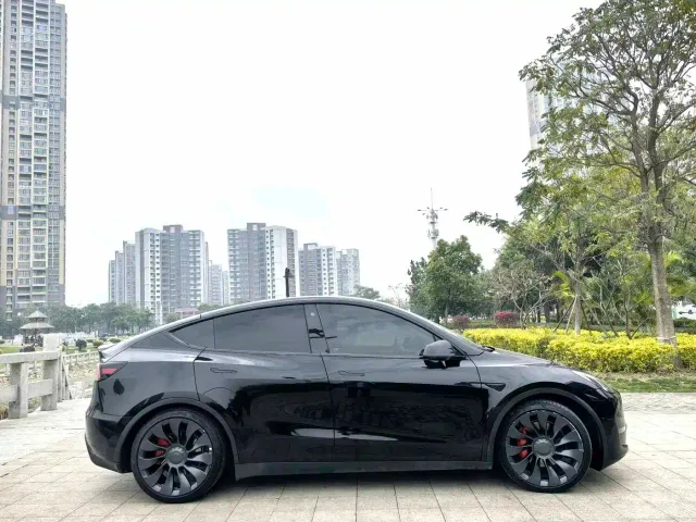 Tesla Model Y — Фото автомобиля 3
