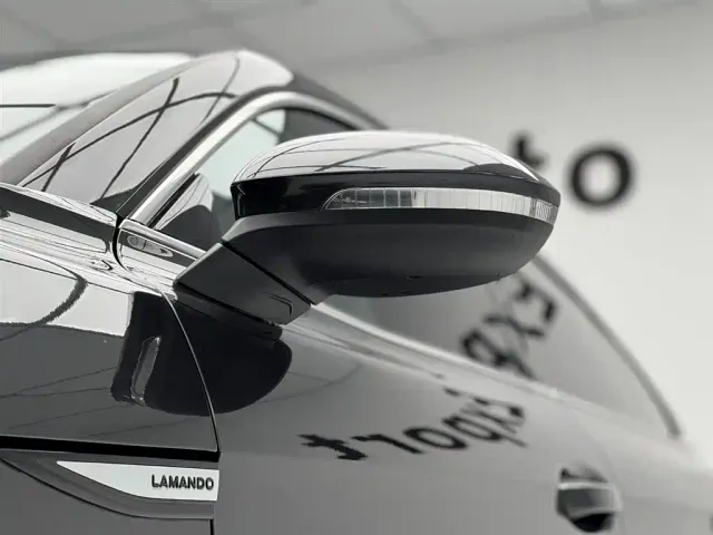 Volkswagen Lamando — Фото автомобиля 6