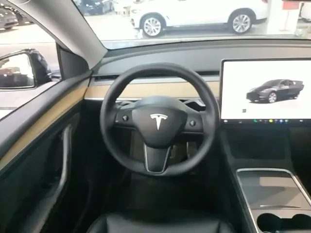 Tesla Model Y — Фото автомобиля 10