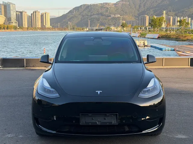 Tesla Model Y — Фото автомобиля 2