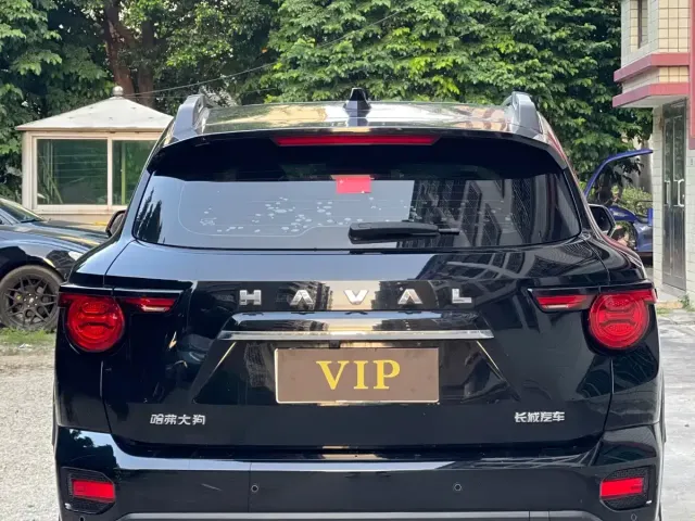 Haval Big Dog — Фото автомобиля 8