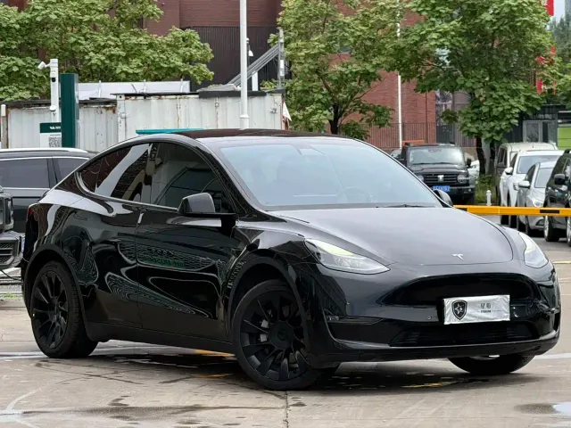 Tesla Model Y — Фото автомобиля 3