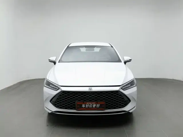 BYD Qin PLUS — Фото автомобиля 3