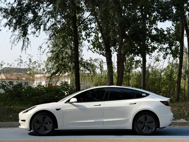 Tesla Model 3 — Фото автомобиля 3