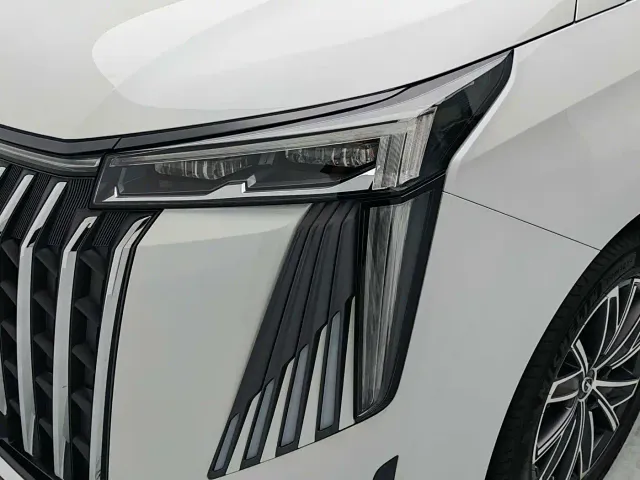 GAC Trumpchi M8 — Фото автомобиля 18