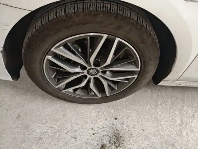 BYD Qin PLUS 2021 DM-i 55KM Flagship — Фото автомобиля 22
