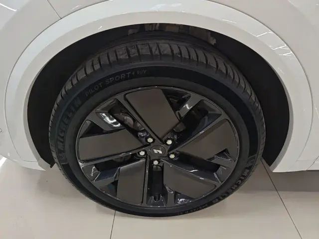 Li Auto L9 — Фото автомобиля 22
