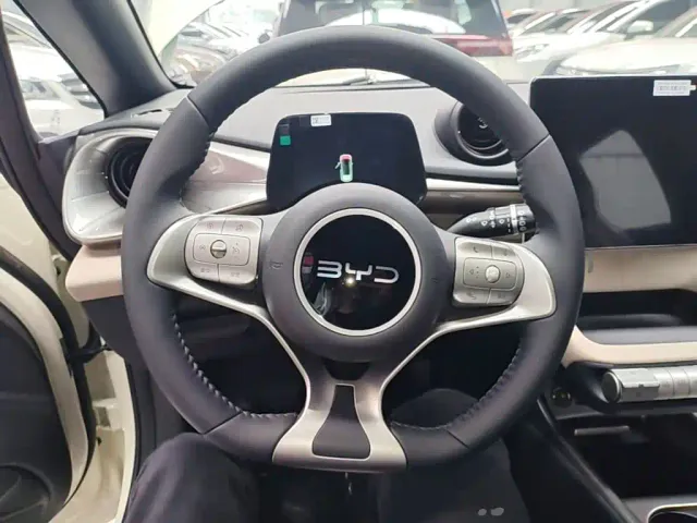 BYD Dolphin — Фото автомобиля 10