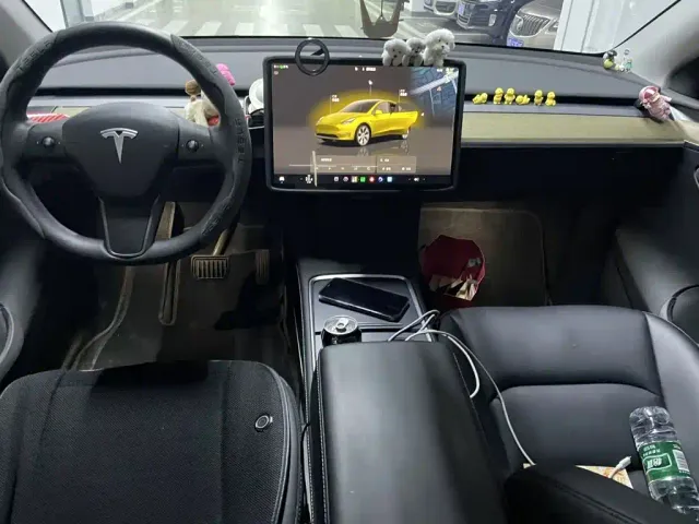 Tesla Model Y — Фото автомобиля 9