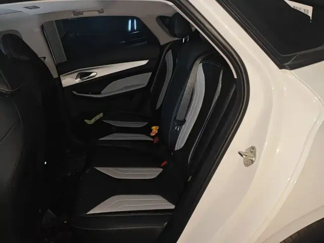 Geely Binrui — Фото автомобиля 14