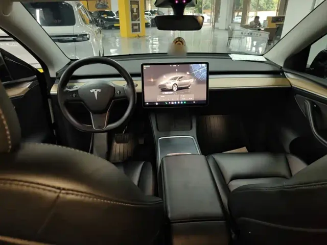 Tesla Model Y — Фото автомобиля 9