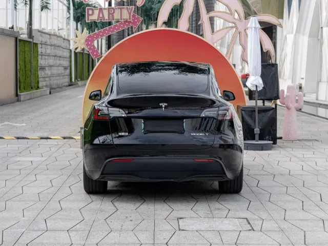 Tesla Model Y — Фото автомобиля 6