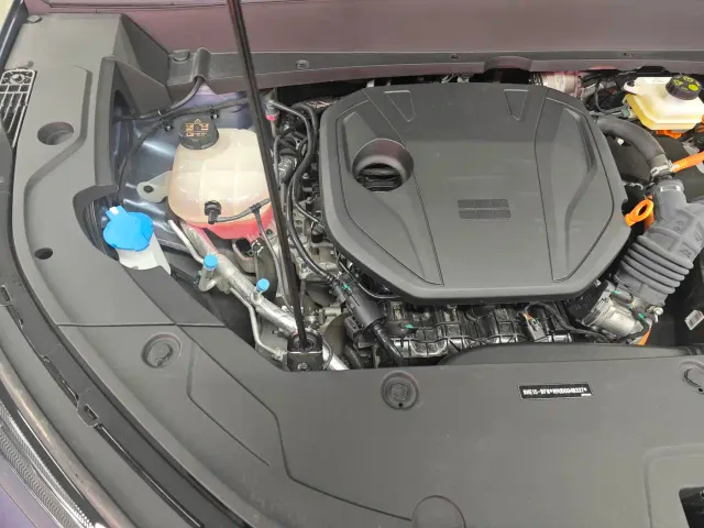 Geely Galaxy Starship 7 EM-i — Фото автомобиля 21