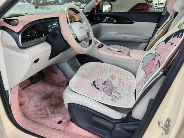 Geely Starry Wish — Фото автомобиля 9