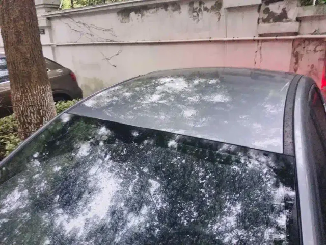 BYD Qin PLUS — Фото автомобиля 6