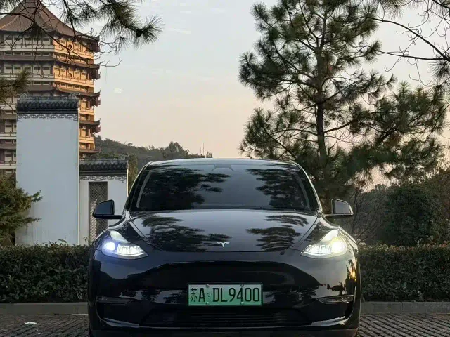 Tesla Model Y — Фото автомобиля 2