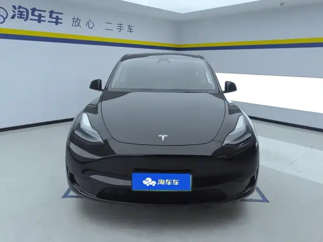 Tesla Model Y — Фото автомобиля 2