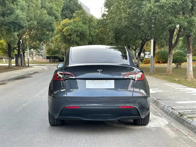 Tesla Model Y — Фото автомобиля 9
