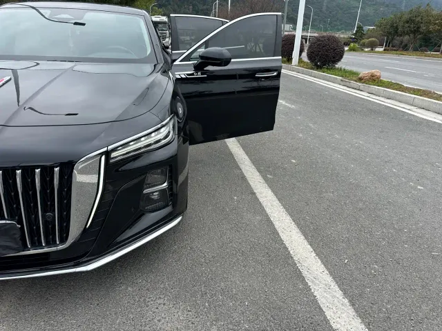 Hongqi H5 — Фото автомобиля 14