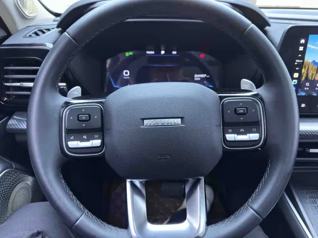 Haval Cool Dog — Фото автомобиля 13