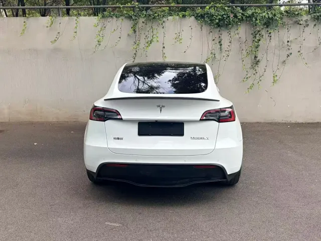 Tesla Model Y — Фото автомобиля 2