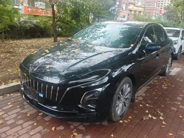 Фотография автомобиля — Hongqi E-QM5
