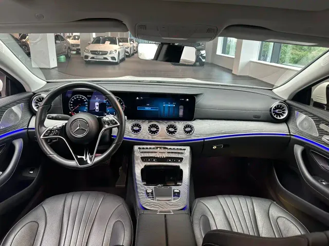 Mercedes-Benz CLS-Class — Фото автомобиля 13