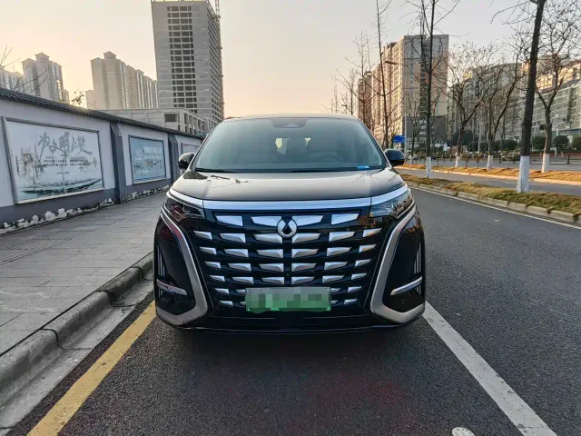 Denza D9 — Фото автомобиля 2