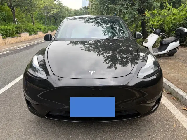 Tesla Model Y — Фото автомобиля 2