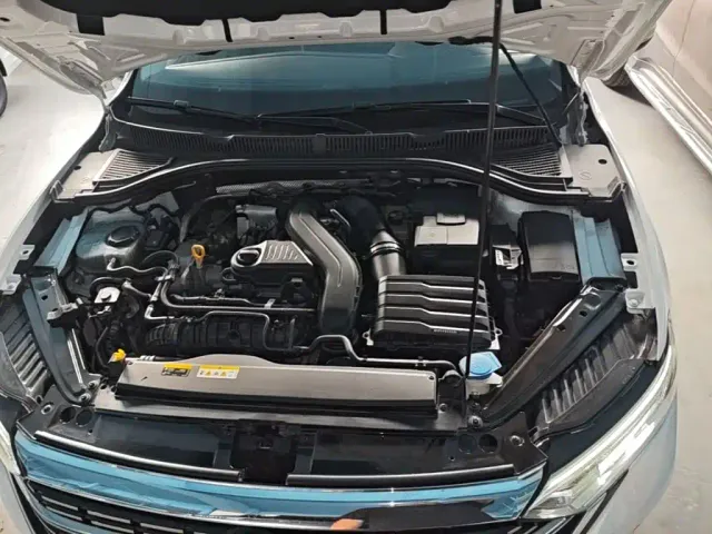 Volkswagen Sagitar — Фото автомобиля 19