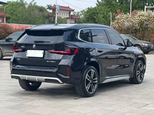 BMW X1 — Фото автомобиля 10