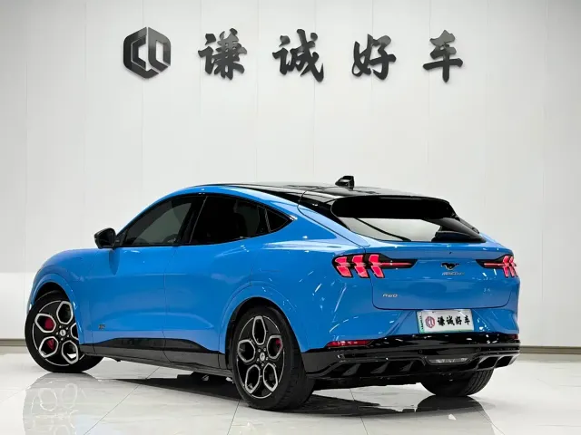 Ford Mustang Mach-E — Фото автомобиля 6