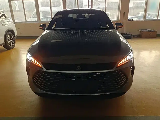 BYD Qin PLUS — Фото автомобиля 2