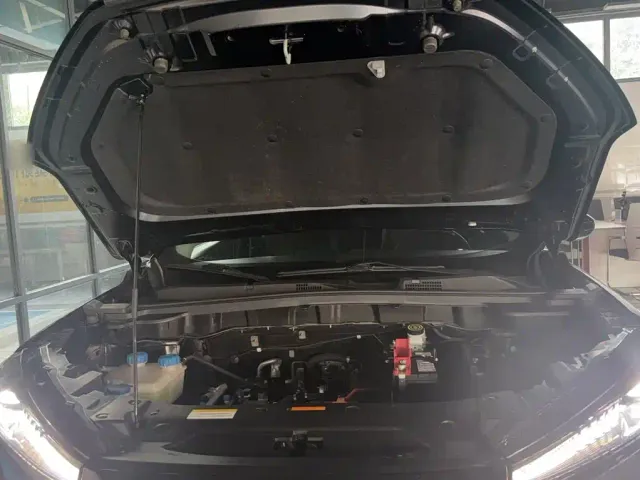 Dongfeng SKY EV01 — Фото автомобиля 7