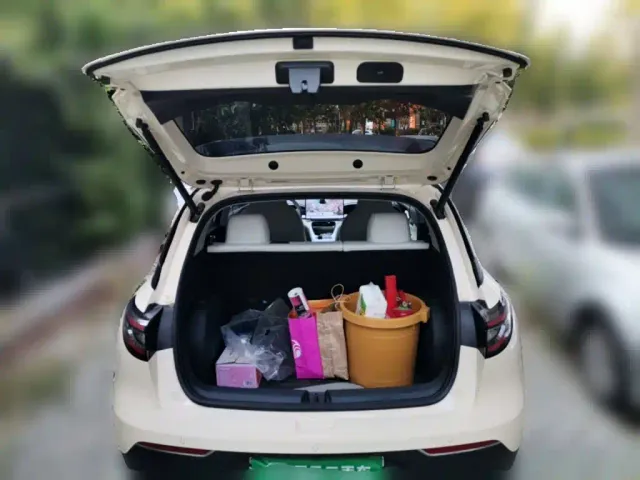 Geely Starry Wish — Фото автомобиля 20