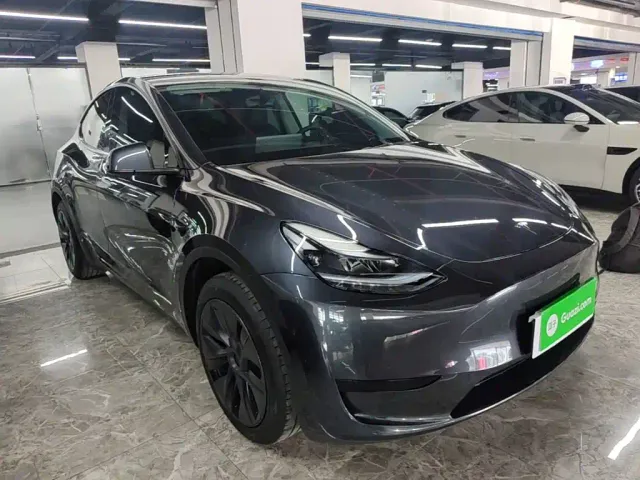 Tesla Model Y — Фото автомобиля 3