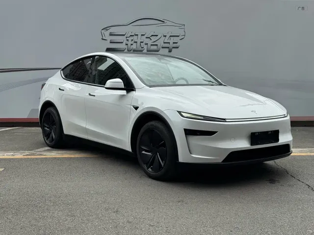 Tesla Model Y — Фото автомобиля 3