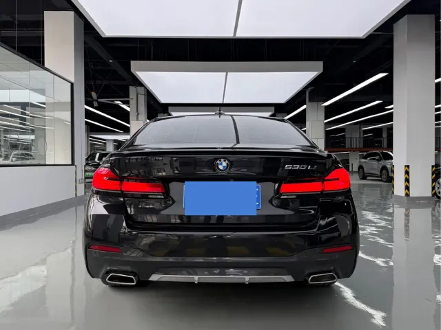 BMW 5 Series — Фото автомобиля 17