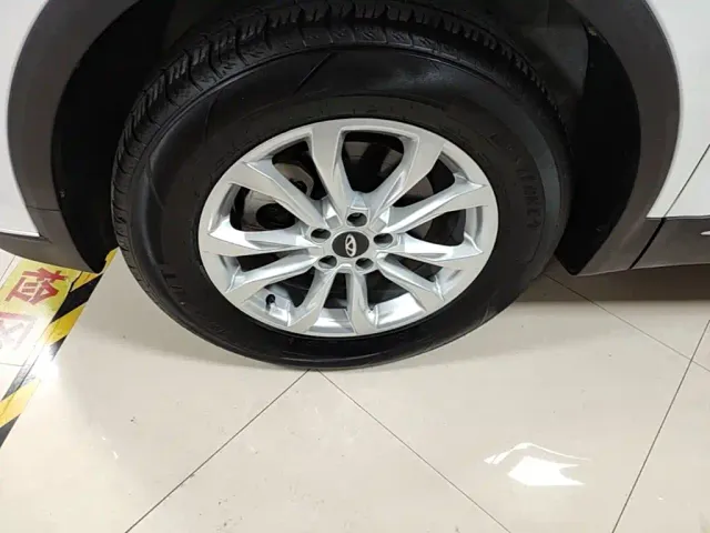Chery Tiggo 7 PLUS — Фото автомобиля 22
