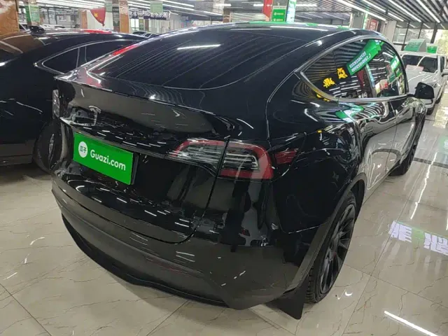 Tesla Model Y — Фото автомобиля 6