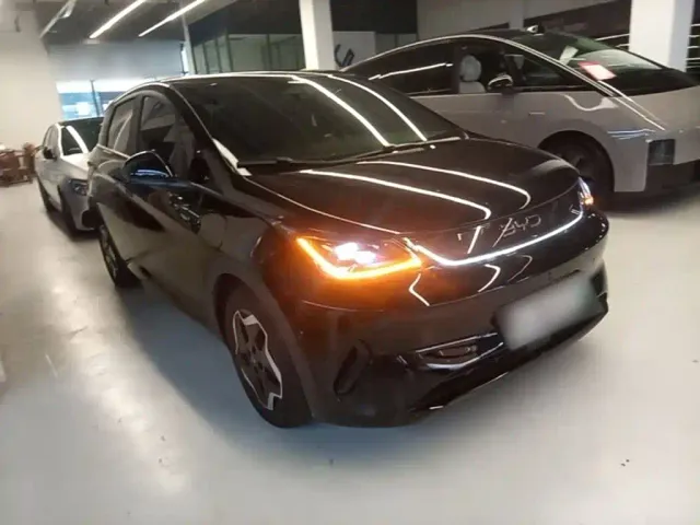 BYD Dolphin — Фото автомобиля 3