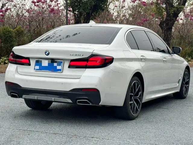 BMW 5 Series — Фото автомобиля 4