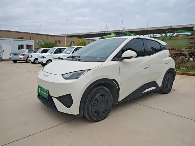 Фотография автомобиля — BYD Seagull