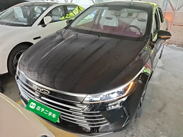 BYD Destroyer 05 — Фото автомобиля 2