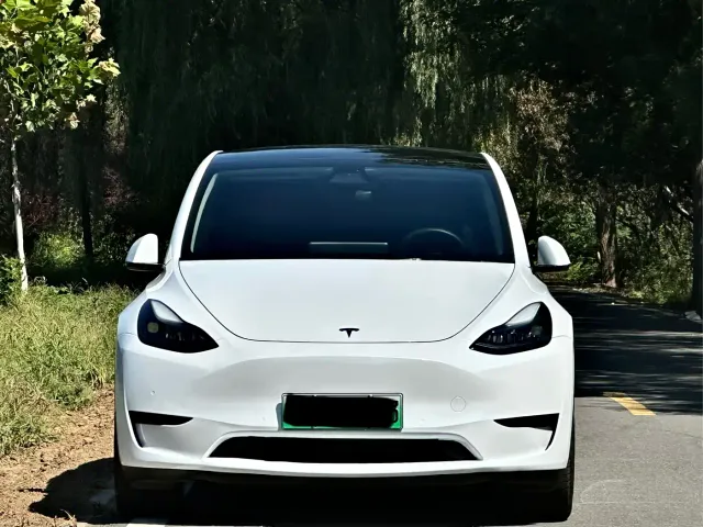 Tesla Model Y — Фото автомобиля 2
